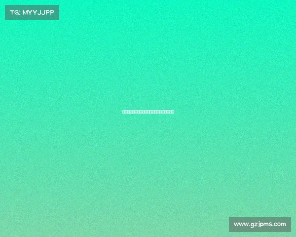 中国街头篮球争霸赛点燃城市激情草根梦想飞扬